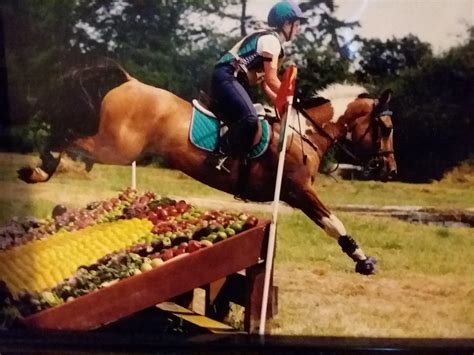 Most badass little a nugget of a horse I ever had... Miss ya so much