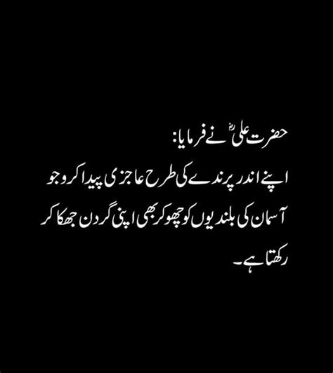 Pin by 𝒌𝒂𝒍𝒔𝒐𝒐𝒎 soba on Hazrat wasif Ali wasif Islamic quotes Sufism