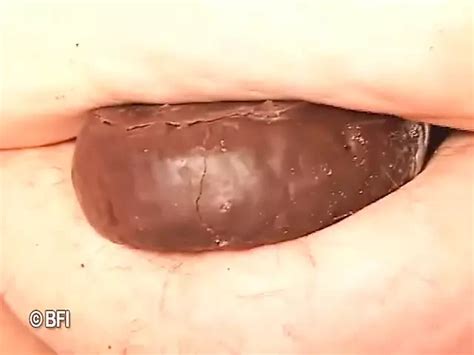 Free Bbw Women Porn Videos Xhamster