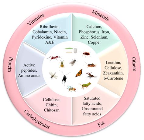 How Much Protein In A Fly