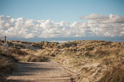 530点を超える西ウィタリングのストックフォト、写真、そしてロイヤリティフリーの画像 Istock