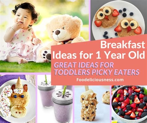 Breakfast Ideas for 1 Year Old » Foodeliciousness