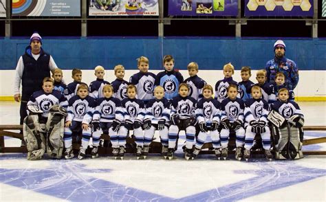 Хоккейная секция для детей в Брянске