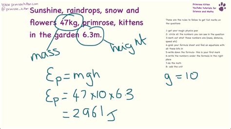 Physics Questions And Answers Physics Questions Level Challe