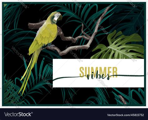 Dark Tropical Design With Exotic Monstera Vector Image