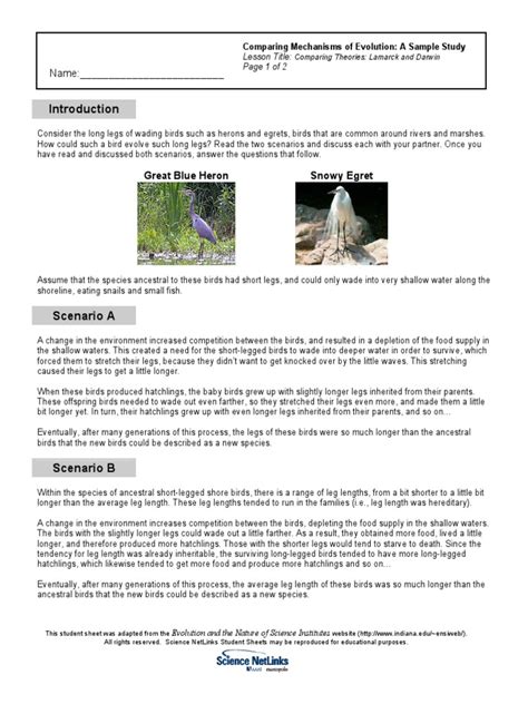Darwin Vs Lamarck Worksheet PDF | PDF | Charles Darwin | Evolution