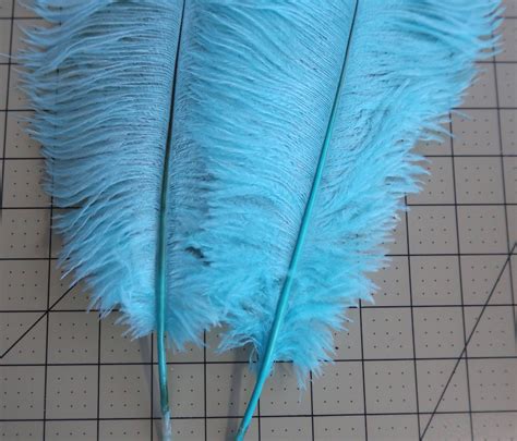 How To Choose Ostrich Feathers Out Of A Portrait