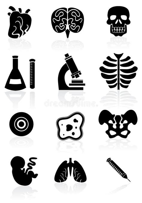 Biology Clipart Black And White