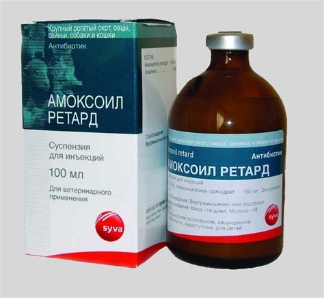 Амоксоил Ретард для кошек: описание, инструкция к применению