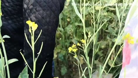 Hot Sexy Bhabhi Ko Dever Ne Sarso Khet Mein Bulakar Ki Khub Chudai Ko Ko