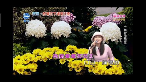 信大電視台美麗歌聲小羽演唱歌曲癡情的下場是什麼 Youtube