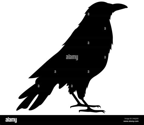 black crow silhouette. city bird. flat vector illustration Stock Vector