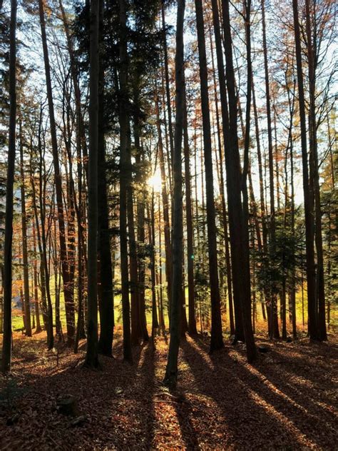 Terminank Ndigung Herbstliche Wanderung In Der Ramsau Samerberger