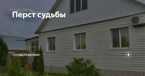 Перст судьбы | Плоды раздумий | Дзен