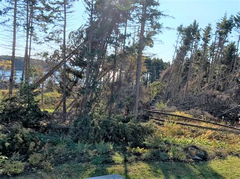 MID OCTOBER STORM HAS IT'S WAY WITH MAINE COAST