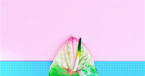 Uma Vagina Pode Ser Muito Apertada Respostas Sempre Atualizadas