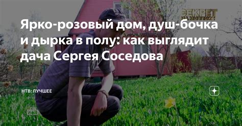 Ярко-розовый дом, душ-бочка и дырка в полу: как выглядит дача Сергея ...