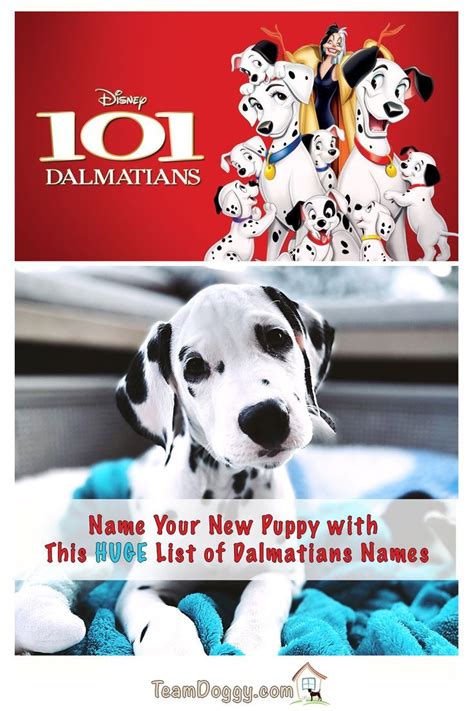 101 Dalmatians Dog Names