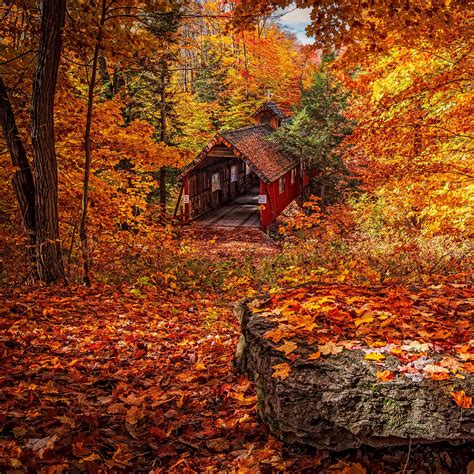 Autumn Foliage Wallpapers Wallpaper Cave