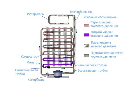 Выбор и сравнение холодильника с ноу-фрост и капельной системой ...