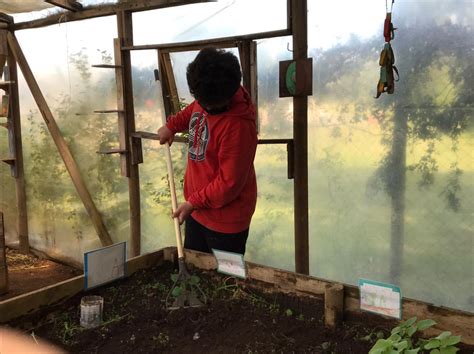 Comité Medio Ambiental Lycée Claude Gay OSORNO Colegio Francés de OSORNO