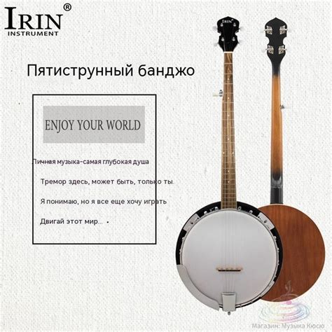 Банджо / западный инструмент для начинающих / IRIN - купить с доставкой ...