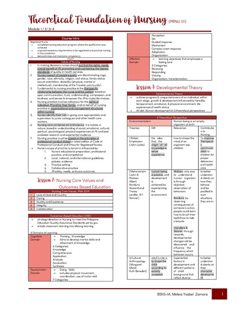 Tfn Midterm Summary Of Theoretical Foundations In Nursing Practice