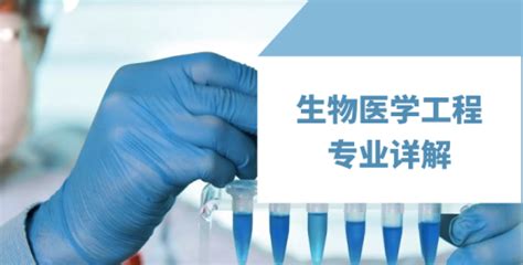 美国留学生物医学工程专业最新最全解析！看似“冷门”但“钱途”无限 清柚教育 官网 Cheersyou 留学申请、gre培训、sat