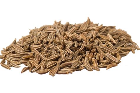 Тмин — Cargo Trade