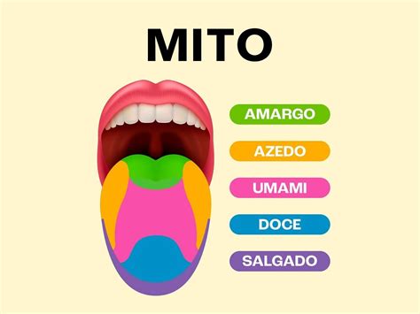 Quais São Os Sabores - Paladar: o que é e quais são os cinco sabores - Toda Matéria