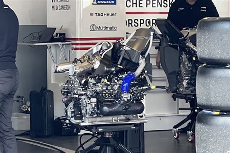 Tuesday Paddock Notes