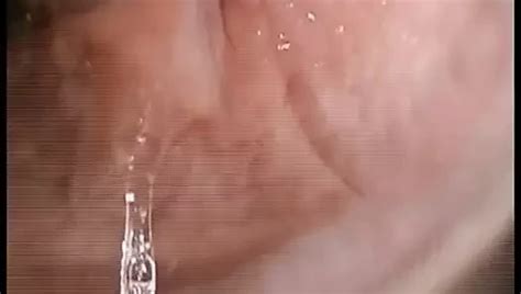 Sissy Flash Cock Nude Pics XHamster