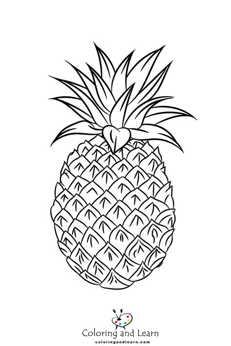 Pineapple Coloring Pages FREE 2024 Coloring And Learn