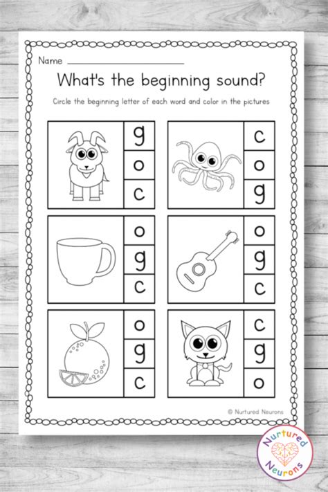 Circle The Beginning Sounds Worksheets Goc Phonics Nurtured Neurons