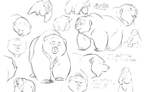 Bear Character Sheet