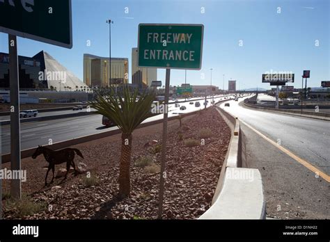Las Vegas Freeway Exit Numbers