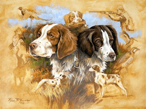 The Versatile Brittany – Ross Young