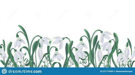 Seamless Hand Drawn Border With Snowdrops In White And Green Colors