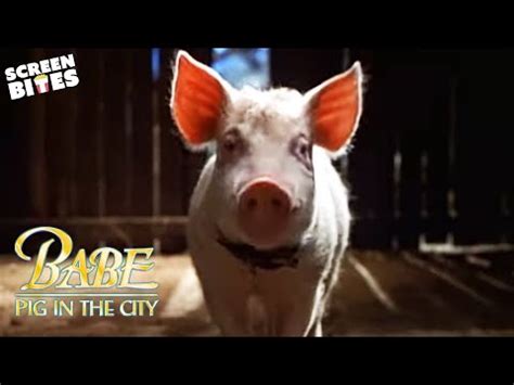 Babe Pig In The City หมนอยหวใจเทวดา HD Movie