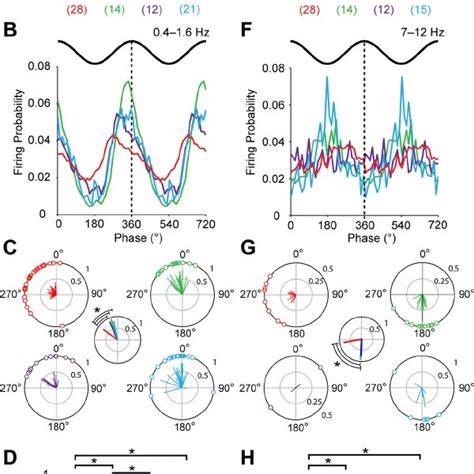 Striatal Cell Type Selective Phase Locking Of Firing To Ongoing