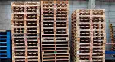 contact  team  europe flat cargo