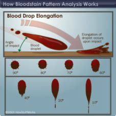 Blood Spatter Analyst - Principles of Biomedical Scinece