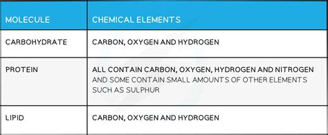 Chemical Elements In Biological Molecules 2 7 Edexcel Igcse Biology Double Science Revision