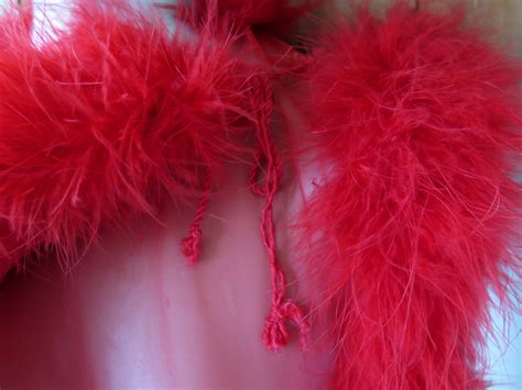 Sheer Red Robe Sexy Lingerie Vintage S Pinup Etsy