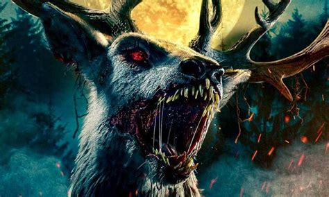 Did the Bambi Doe Leak Change Everything? The Timeline and Impact - 4vzu42t