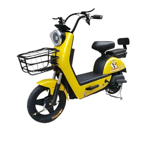 Factory Direct Affordable W W Adult Electric Ebike For Sale