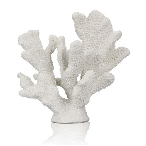 Coral Decor