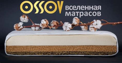 Вселенная матрасов OSSOV