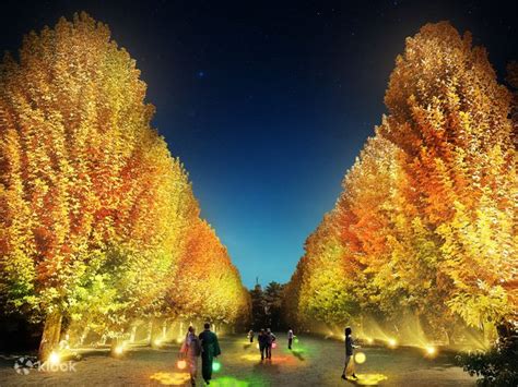 Naked Night Garden At Shinjuku Gyoen Admission In Tokyo Klook United States