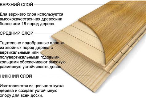 Инженерная доска (паркет) для пола: толщина, структура (двухслойная ...